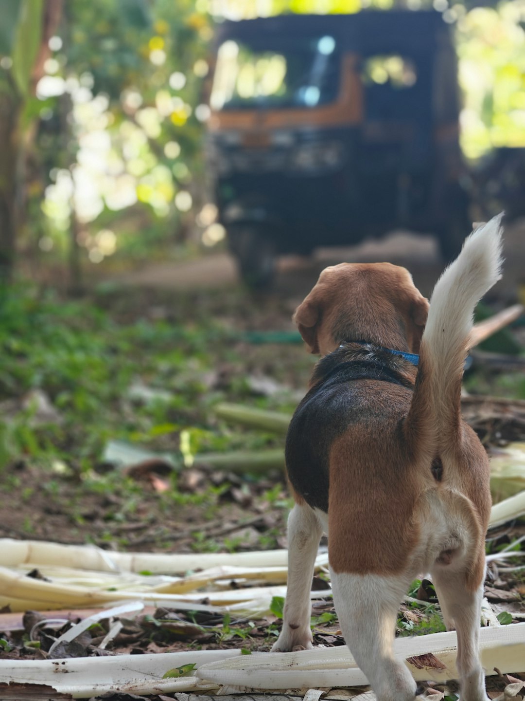 Fidéliser sa clientèle sur Etsy : outils numériques et stratégies relationnelles pour artisans français